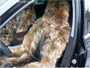 国产A级毛,匠心独运，引领时尚潮流