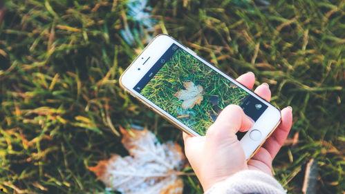 手机看片福利盒子永久国产免费