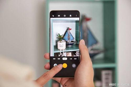 国产视频手机在线观看