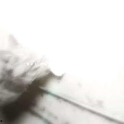 j zz国产,探寻j zz国的历史足迹与文化魅力