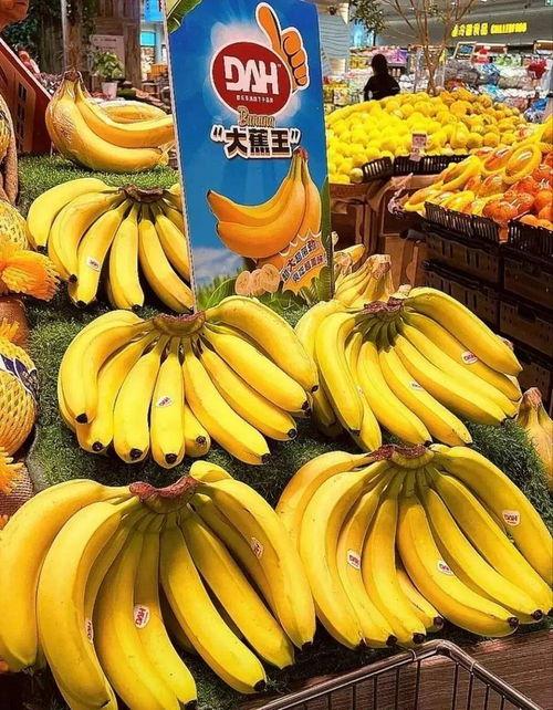 国产香蕉网,探索中国香蕉产业的魅力与未来